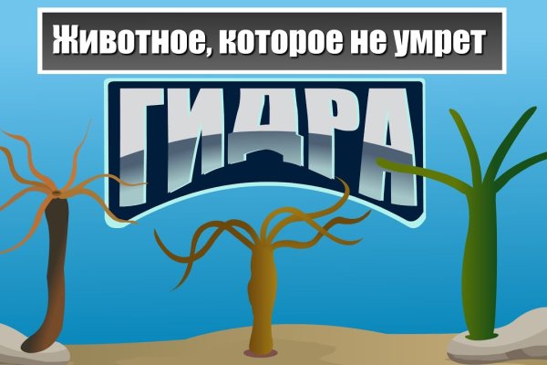 Создатель кракена сайта