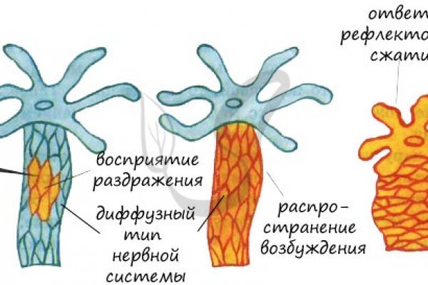 Kraken shop ссылка