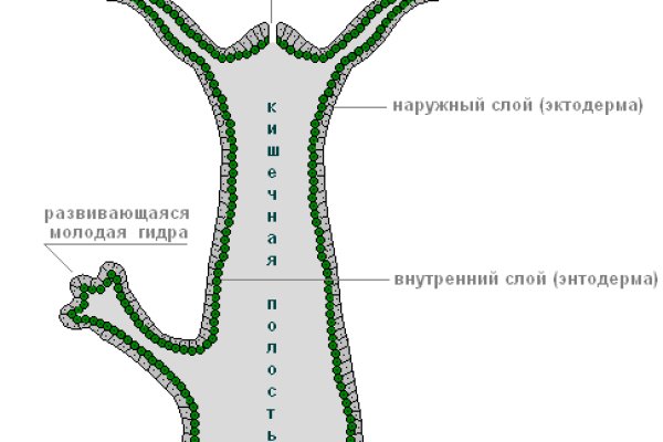 Как зайти на мегу без тор браузера