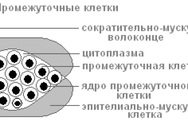 Кракен торговая