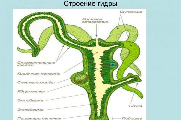 Вход кракен код